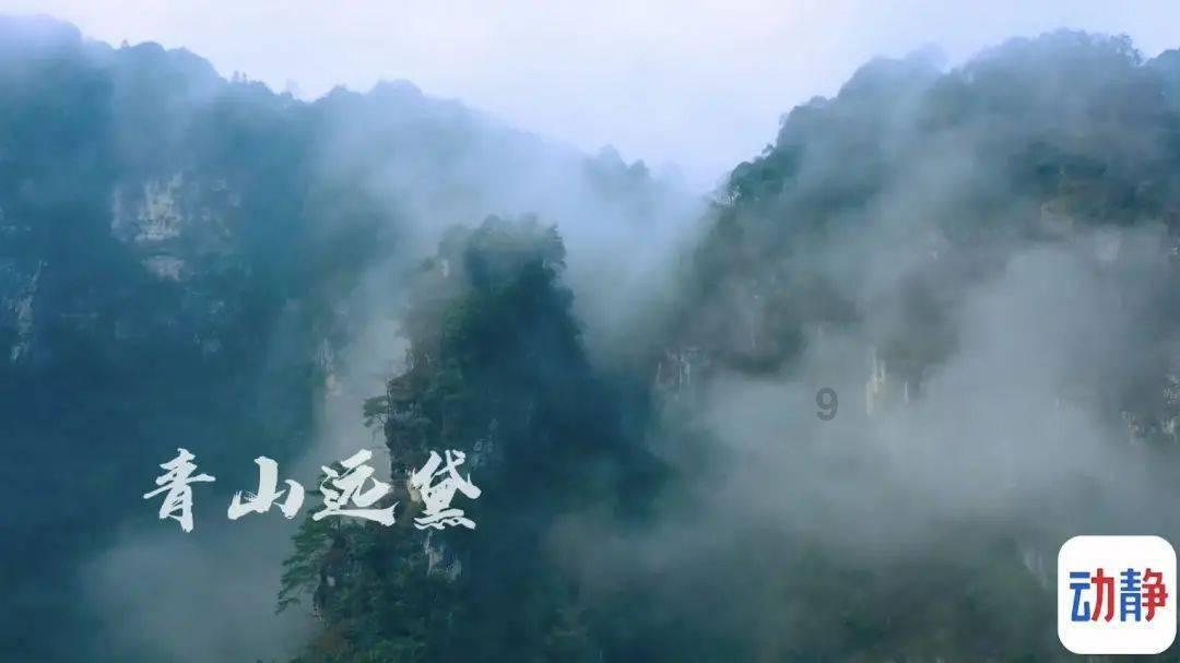 地球守护者