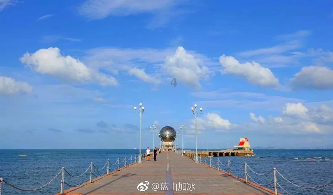 有趣的动物拼图